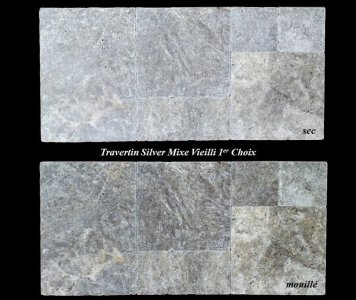 TRAVERTIN SILVER MIXE